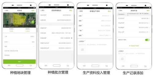 大田智慧農業投資1.28億元數字化服務，推動農產品安全生產與數字內容制作